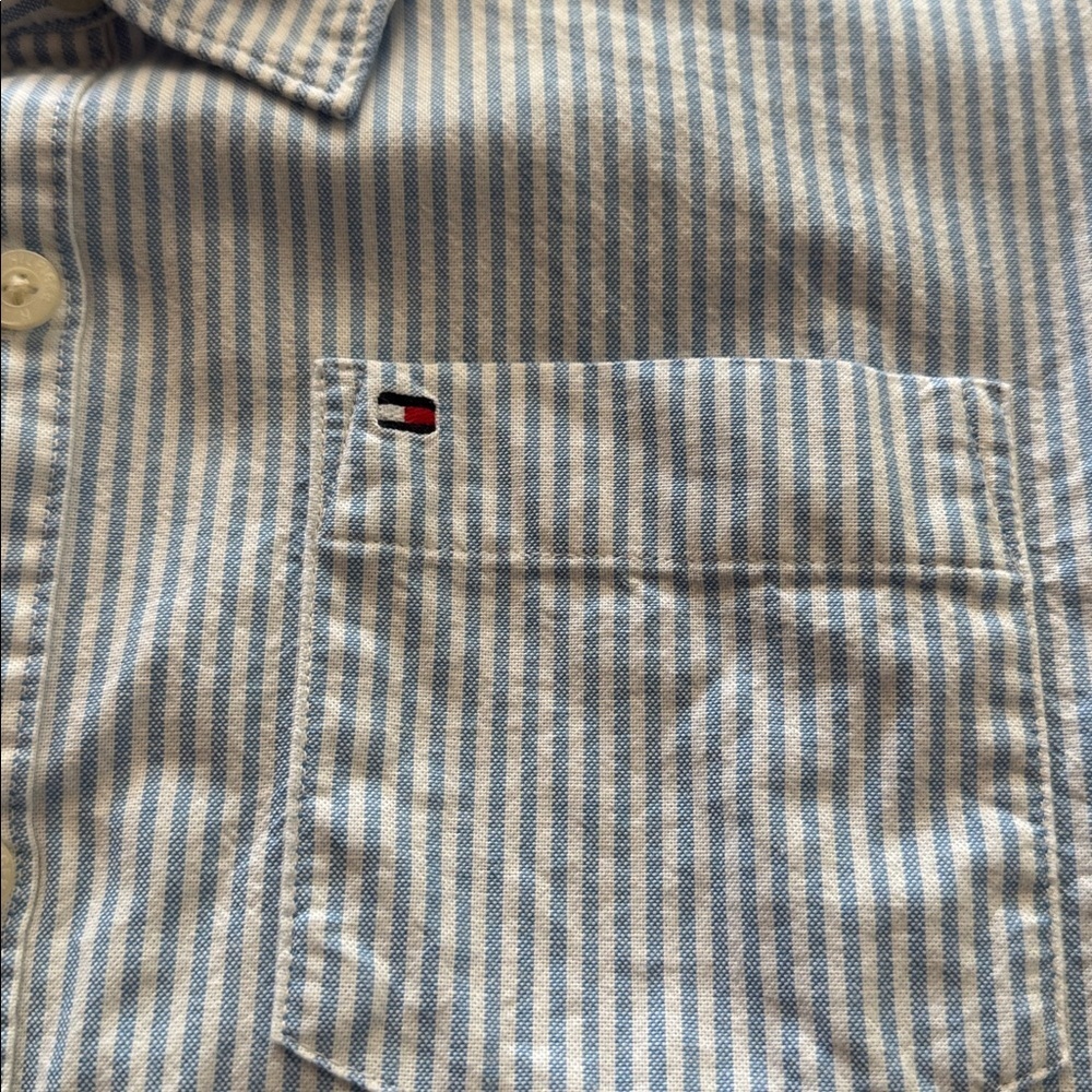 Tommy Hilfiger Kids Blue Striped Button-Down Shirt - Picture 5 of 5